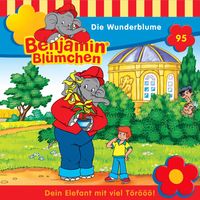 Produktbild: Die Wunderblume