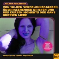 Produktbild: Nicole und andere Katastrophen, Folge 6