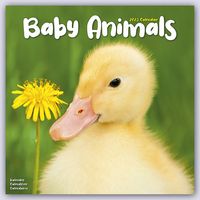 Baby Animals - Tierbabys 2023 - 16-Monatskalender