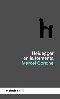 Produktbild: Heidegger en la tormenta