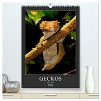Produktbild: GECKOS (hochwertiger Premium Wandkalender 2026 DIN A2 hoch), Kunstdruck in Hochglanz