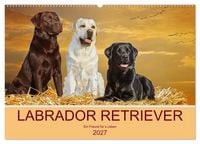 Produktbild: Labrador Retriever - Ein Freund f&uuml;r&acute;s Leben (Wandkalender 2027 DIN A2 quer), CALVENDO Monatskalender
