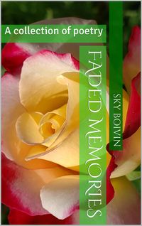 Produktbild: Faded Memories