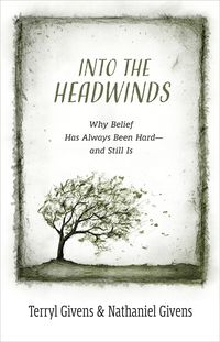 Produktbild: Into the Headwinds