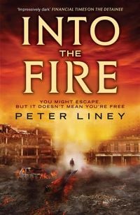 Bild vom Artikel Into The Fire vom Autor Peter Liney