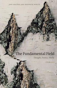 Produktbild: The Fundamental Field