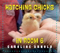 Produktbild: Hatching Chicks in Room 6