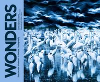 Produktbild: Wonders