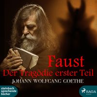 Bild vom Artikel Faust - Der Tragödie erster Teil vom Autor Johann Wolfgang Goethe