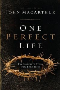 Produktbild: The One Perfect Life