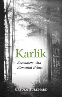 Produktbild: Karlik