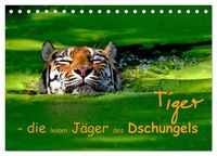 Produktbild: Tiger - die leisen J&auml;ger des Dschungels (Tischkalender 2026 DIN A5 quer), CALVENDO Monatskalender