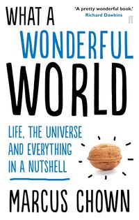 Produktbild: What a Wonderful World
