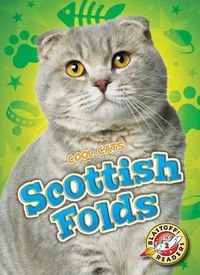 Produktbild: Scottish Folds