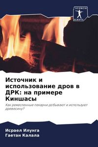 Produktbild: Istochnik i ispol'zowanie drow w DRK: na primere Kinshasy