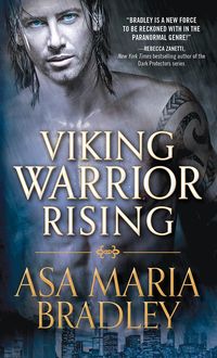 Produktbild: Viking Warrior Rising