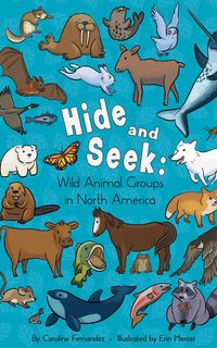 Produktbild: Hide and Seek: