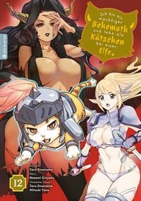 Produktbild: Ich bin ein m&auml;chtiger Behemoth und lebe als K&auml;tzchen bei einer Elfe 12