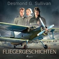 Produktbild: Fliegergeschichten