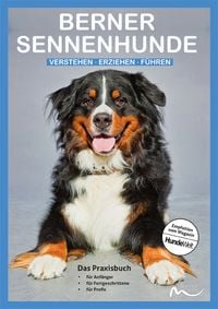 Produktbild: Berner Sennenhunde