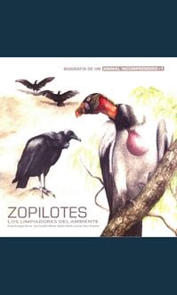 Produktbild: Zopilotes