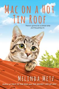 Produktbild: Mac on a Hot Tin Roof
