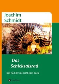 Produktbild: Das Schicksalsrad