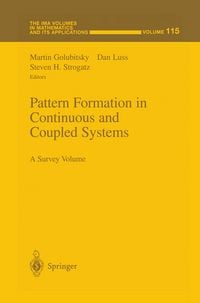 Produktbild: Pattern Formation in Continuous and Coupled Systems