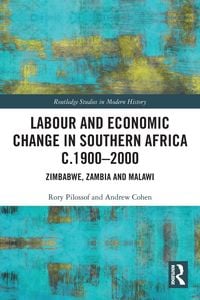 Produktbild: Labour and Economic Change in Southern Africa c.1900-2000