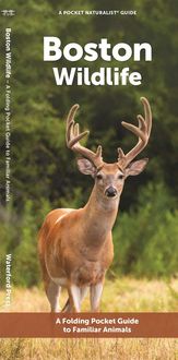 Produktbild: Boston Wildlife