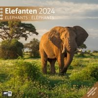 Bild vom Artikel Elefanten Kalender 2024 - 30x30 vom Autor Ackermann Kunstverlag