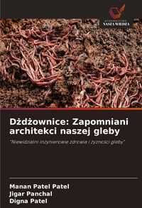 Produktbild: D&iquest;d&iquest;ownice: Zapomniani architekci naszej gleby
