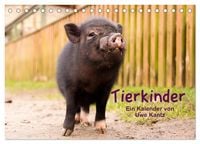 Produktbild: Tierkinder (Tischkalender 2027 DIN A5 quer), CALVENDO Monatskalender
