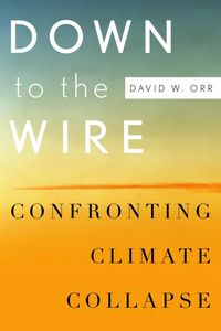 Produktbild: Down to the Wire