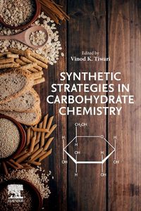 Produktbild: Synthetic Strategies in Carbohydrate Chemistry