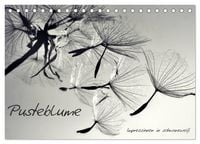 Produktbild: Pusteblume - Impressionen in schwarzwei&szlig; (Tischkalender 2026 DIN A5 quer), CALVENDO Monatskalender