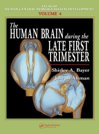 Produktbild: The Human Brain During the Late First Trimester