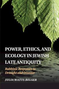 Produktbild: Power, Ethics, and Ecology in Jewish Late Antiquity