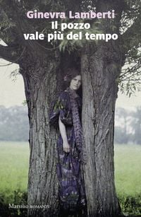 Produktbild: Il pozzo vale pi&ugrave; del tempo