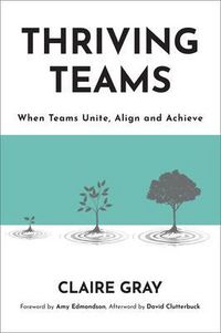 Produktbild: Thriving Teams