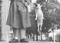 Produktbild: Paris, 1989