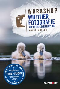 Produktbild: Workshop Wildtierfotografie vor der eigenen Haust&uuml;r