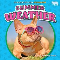 Produktbild: Summer Weather