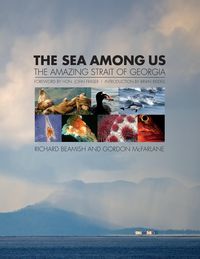Produktbild: The Sea Among Us