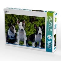 Produktbild: CALVENDO Puzzle Bullterrier | 1000 Teile Lege-Gr&ouml;&szlig;e 64x48cm Foto-Puzzle f&uuml;r gl&uuml;ckliche Stunden