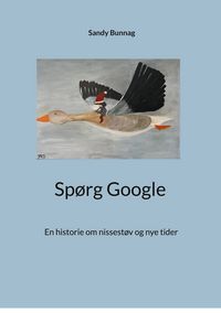 Produktbild: Sp&oslash;rg Google