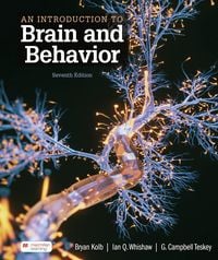 Produktbild: An Introduction to Brain and Behavior (International Edition)