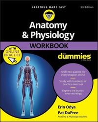 Produktbild: Anatomy & Physiology Workbook For Dummies with Online Practice