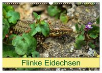 Produktbild: Flinke Eidechsen (Wandkalender 2026 DIN A3 quer), CALVENDO Monatskalender
