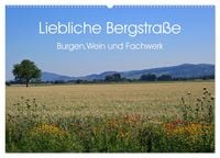 Produktbild: Liebliche Bergstra&szlig;e - Burgen, Wein und Fachwerk (Wandkalender 2026 DIN A2 quer), CALVENDO Monatskalender
